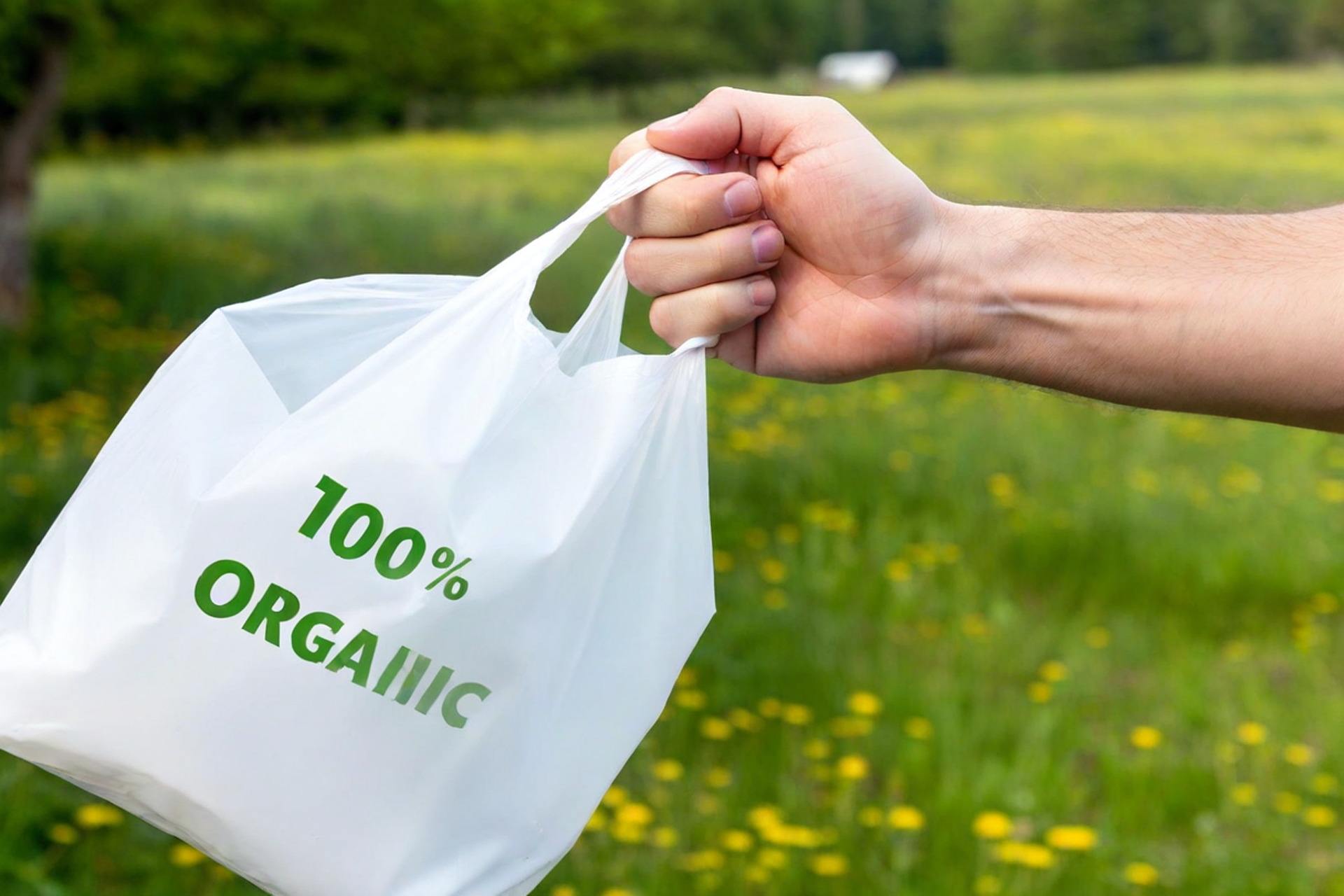 Zielona torba z motywem organicznym